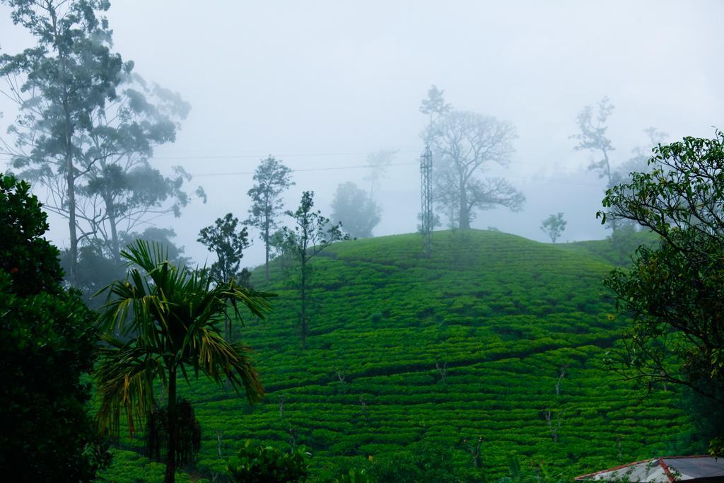 Ella Nature Resort المظهر الخارجي الصورة